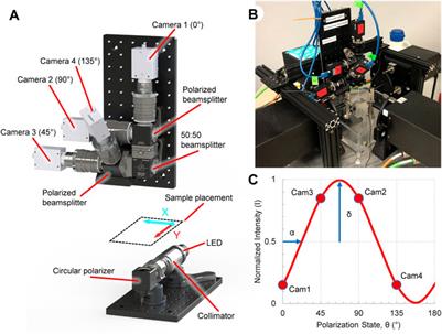 Frontiers | Single Shot Quantitative Polarized Light Imaging System For ...